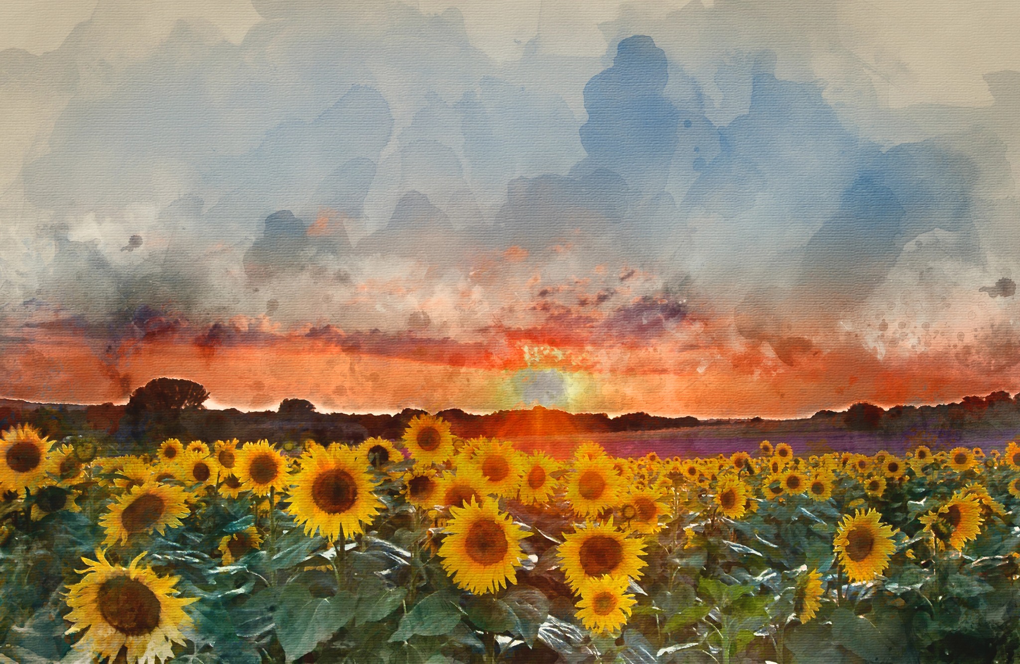 Sunflowers under a glowing sunset sky